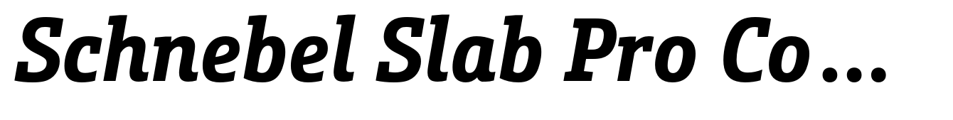 Schnebel Slab Pro Condensed Bold Italic